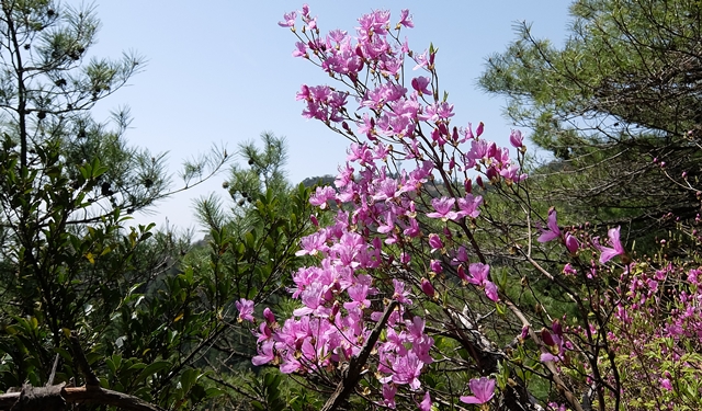 f:id:aw2q:20150418202020j:image