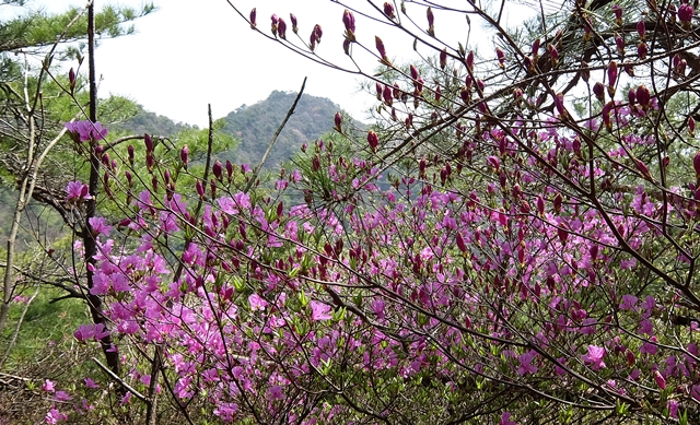 f:id:aw2q:20150418202022j:image