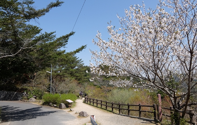 f:id:aw2q:20150418202028j:image