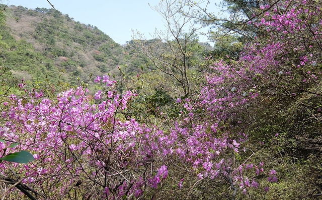 f:id:aw2q:20150418202129j:image