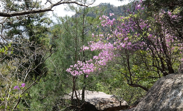f:id:aw2q:20150418202130j:image