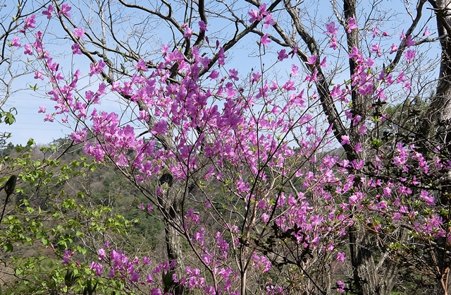 f:id:aw2q:20150418202131j:image