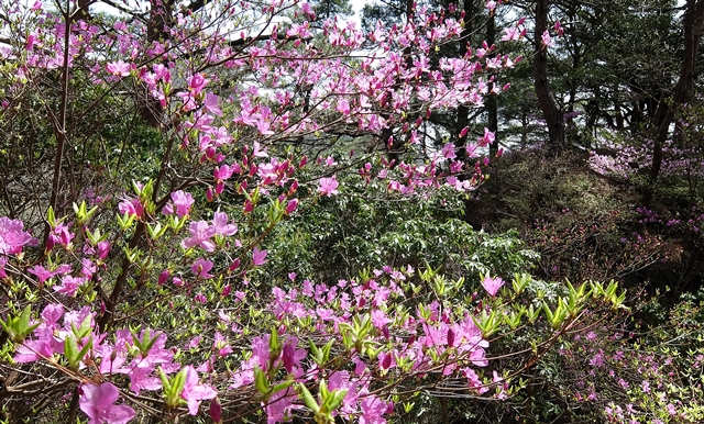 f:id:aw2q:20150418202133j:image