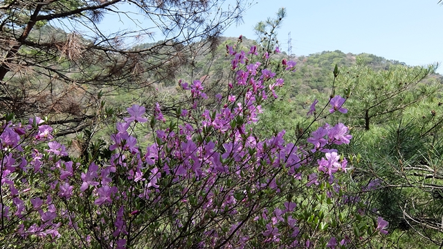 f:id:aw2q:20150419212202j:image