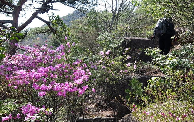 f:id:aw2q:20150419212327j:image