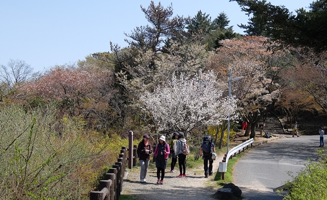 f:id:aw2q:20150419212423j:image