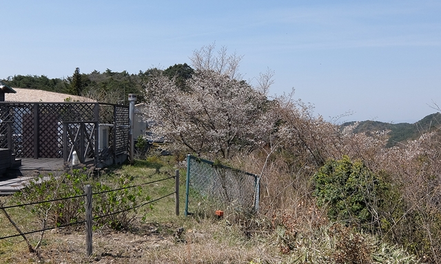 f:id:aw2q:20150419212424j:image