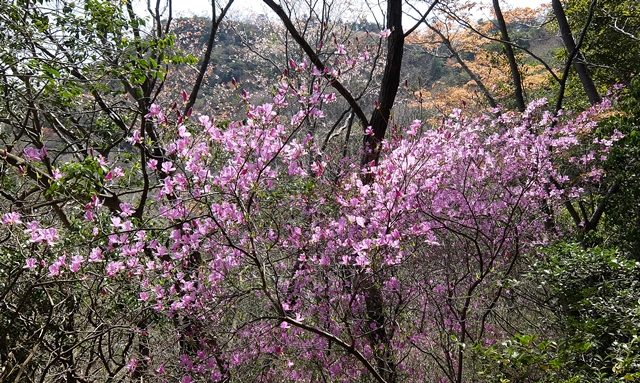 f:id:aw2q:20150419212425j:image