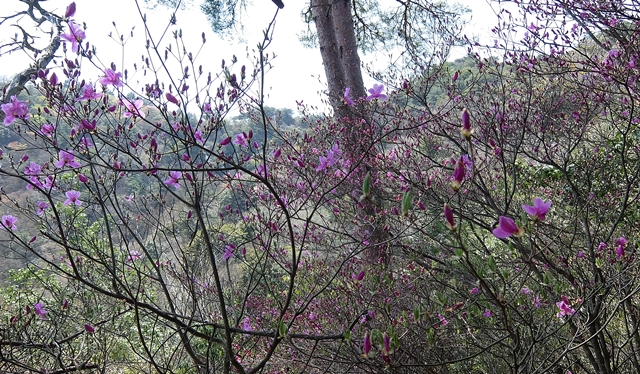f:id:aw2q:20150419212426j:image