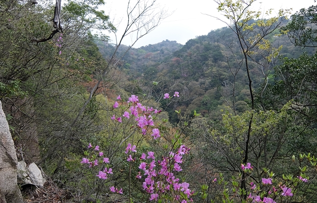f:id:aw2q:20150424181831j:image