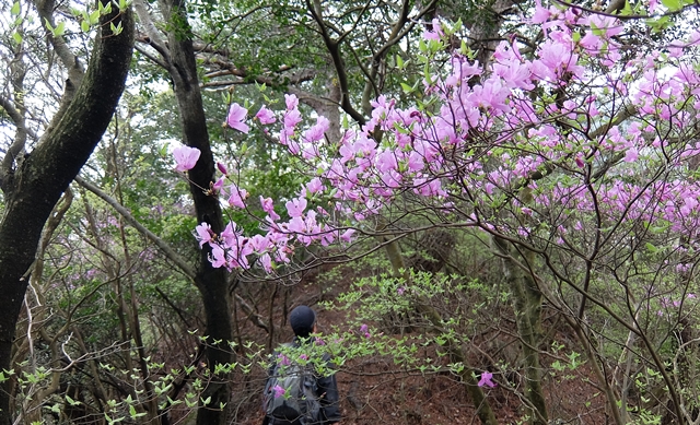 f:id:aw2q:20150424181838j:image