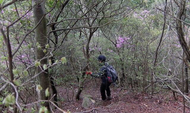 f:id:aw2q:20150424181844j:image