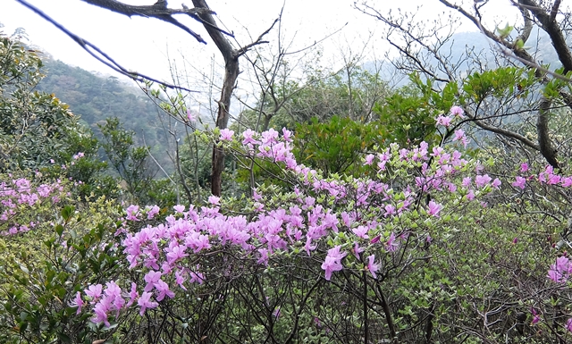 f:id:aw2q:20150424181845j:image
