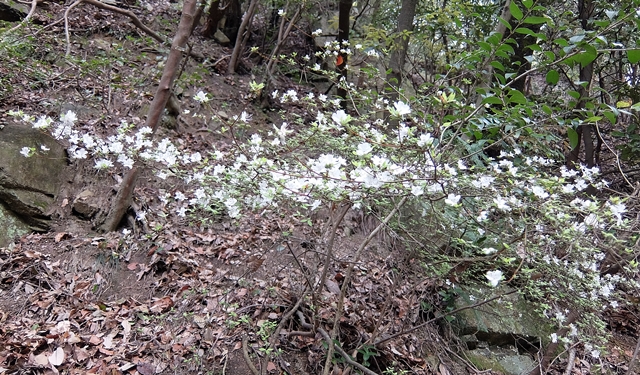 f:id:aw2q:20150424183655j:image