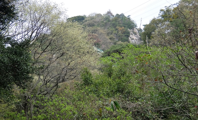f:id:aw2q:20150424183656j:image