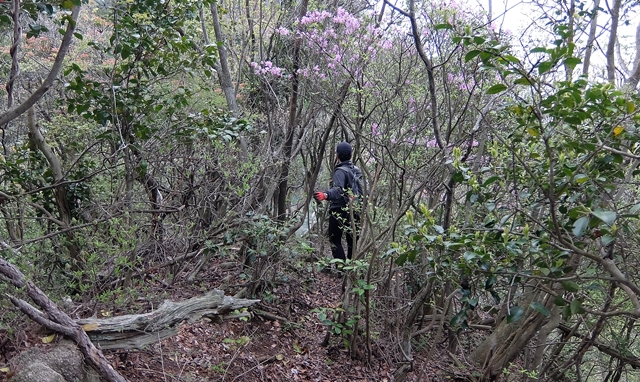 f:id:aw2q:20150424183658j:image