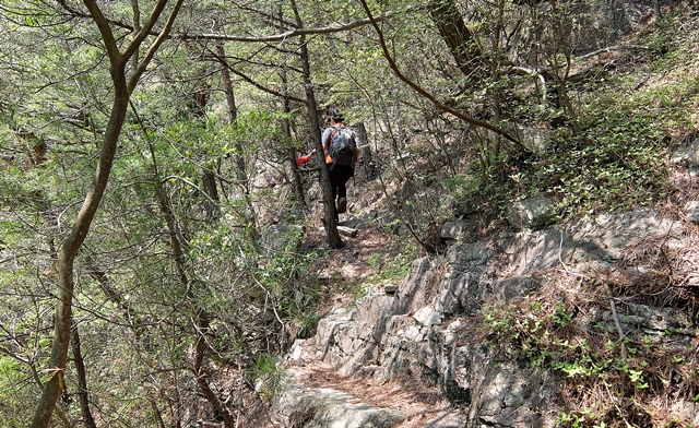 f:id:aw2q:20150425170625j:image