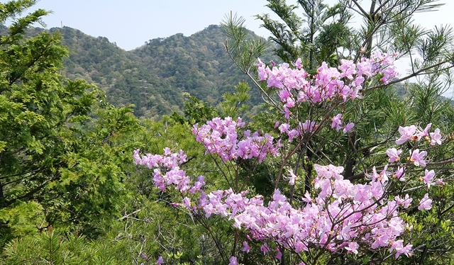 f:id:aw2q:20150425170628j:image