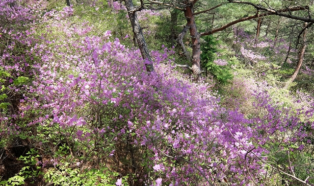 f:id:aw2q:20150425170632j:image