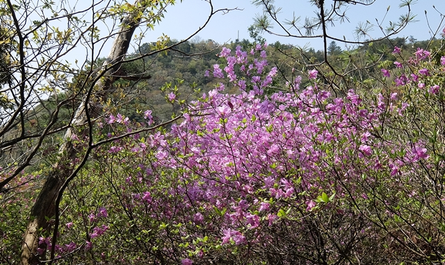 f:id:aw2q:20150425170633j:image