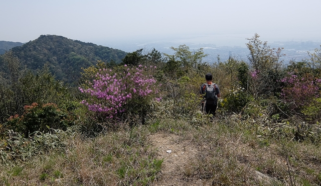 f:id:aw2q:20150425170634j:image