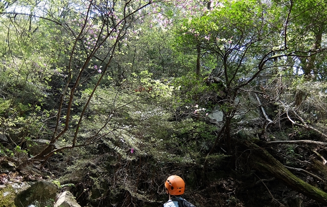 f:id:aw2q:20150425170750j:image