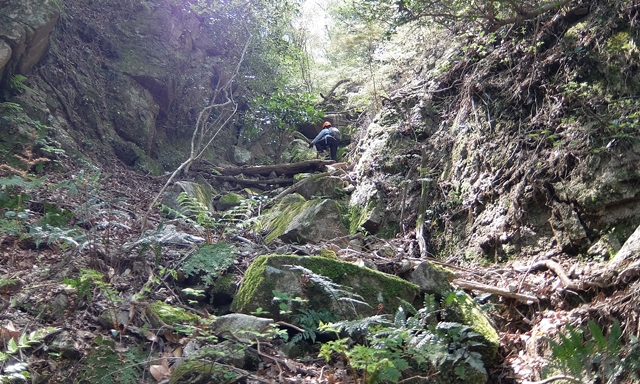 f:id:aw2q:20150425170753j:image