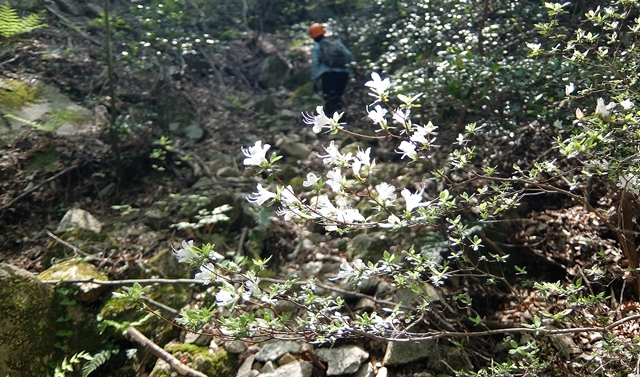 f:id:aw2q:20150425170754j:image