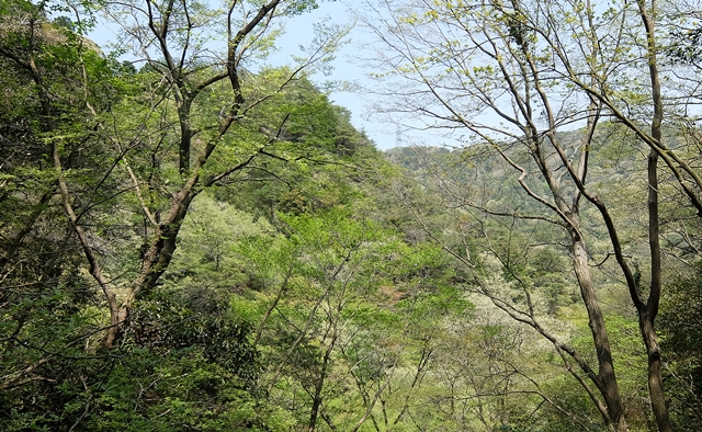 f:id:aw2q:20150425170755j:image