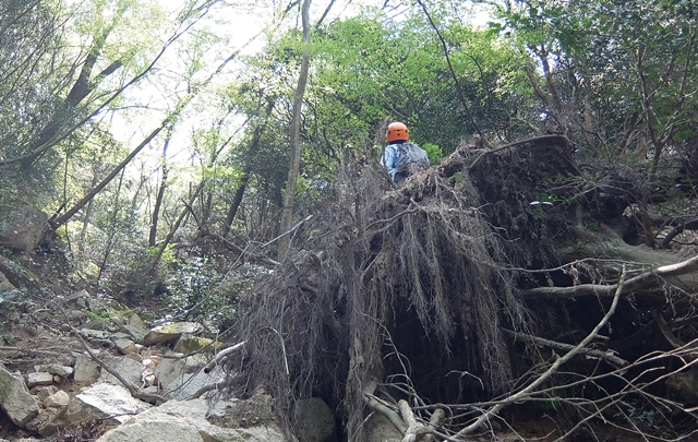 f:id:aw2q:20150425170759j:image