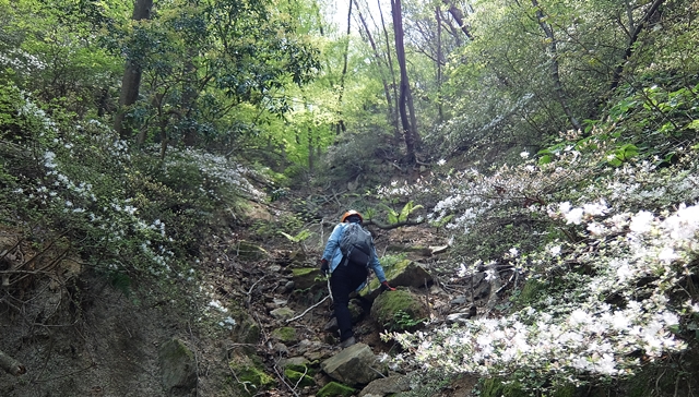 f:id:aw2q:20150425171019j:image