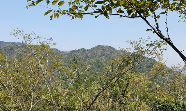 f:id:aw2q:20150425172241j:image