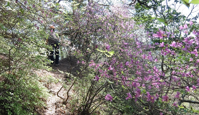 f:id:aw2q:20150429124725j:image