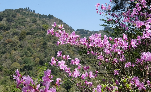 f:id:aw2q:20150429124726j:image