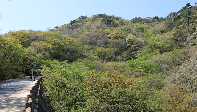 f:id:aw2q:20150429124729j:image