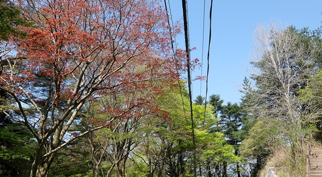 f:id:aw2q:20150429124730j:image