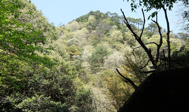 f:id:aw2q:20150429124920j:image