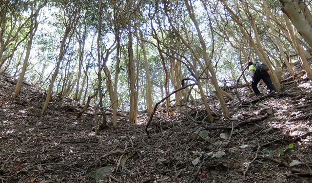 f:id:aw2q:20150429125134j:image