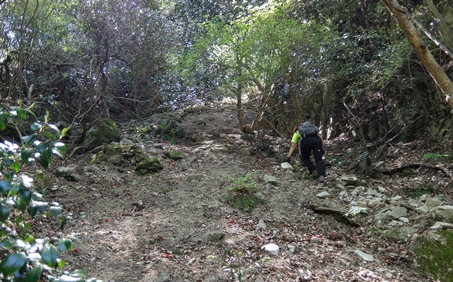 f:id:aw2q:20150429125135j:image