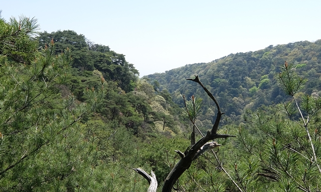 f:id:aw2q:20150429160944j:image