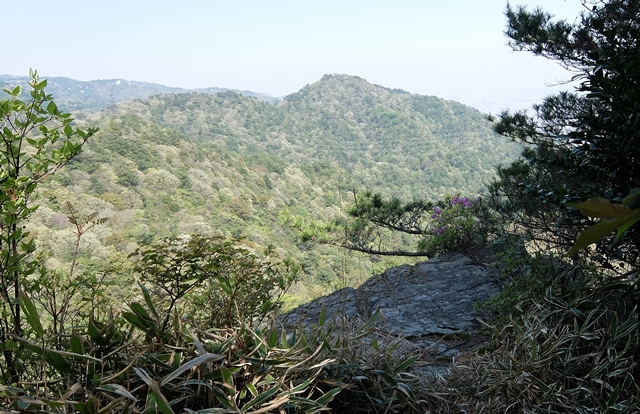 f:id:aw2q:20150429175718j:image