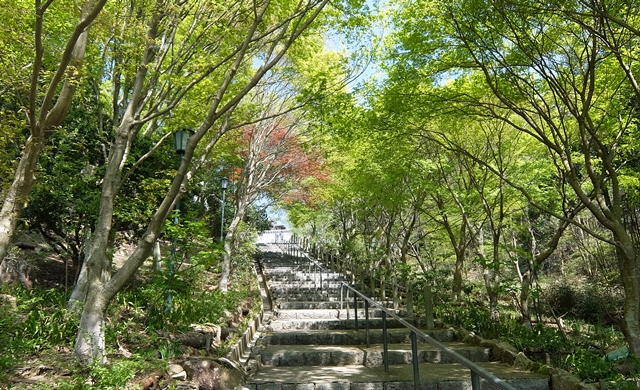 f:id:aw2q:20150429182341j:image