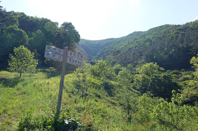 f:id:aw2q:20150704184712j:image