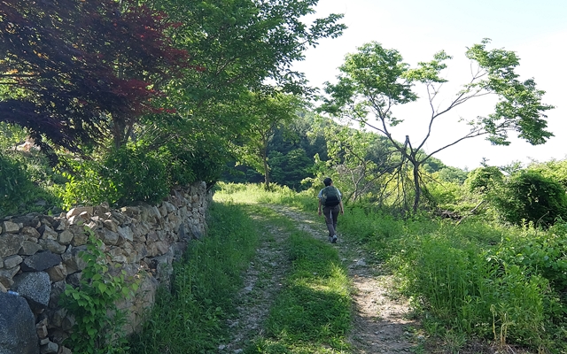 f:id:aw2q:20150704184713j:image