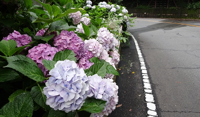 f:id:aw2q:20150705164951j:image f:id:aw2q:20150705164951j:image