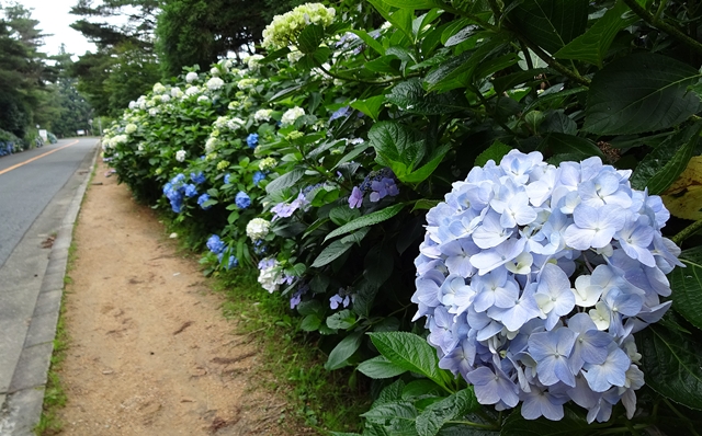 f:id:aw2q:20150706191521j:image f:id:aw2q:20150706191521j:image