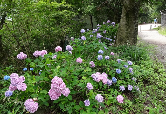 f:id:aw2q:20150711183517j:image
