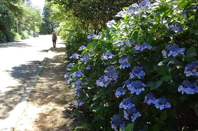 f:id:aw2q:20150720223146j:image