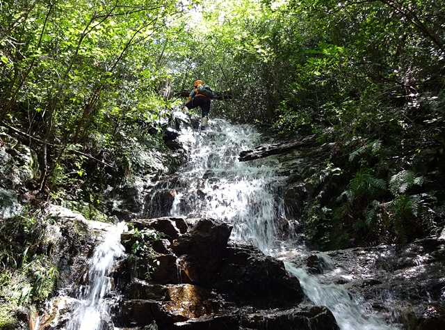 f:id:aw2q:20150720223154j:image