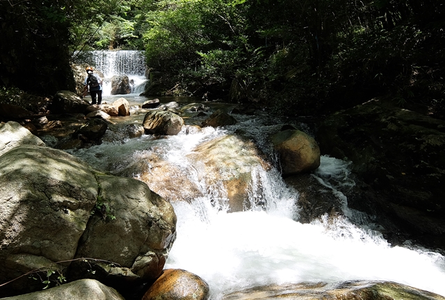 f:id:aw2q:20150726102502j:image